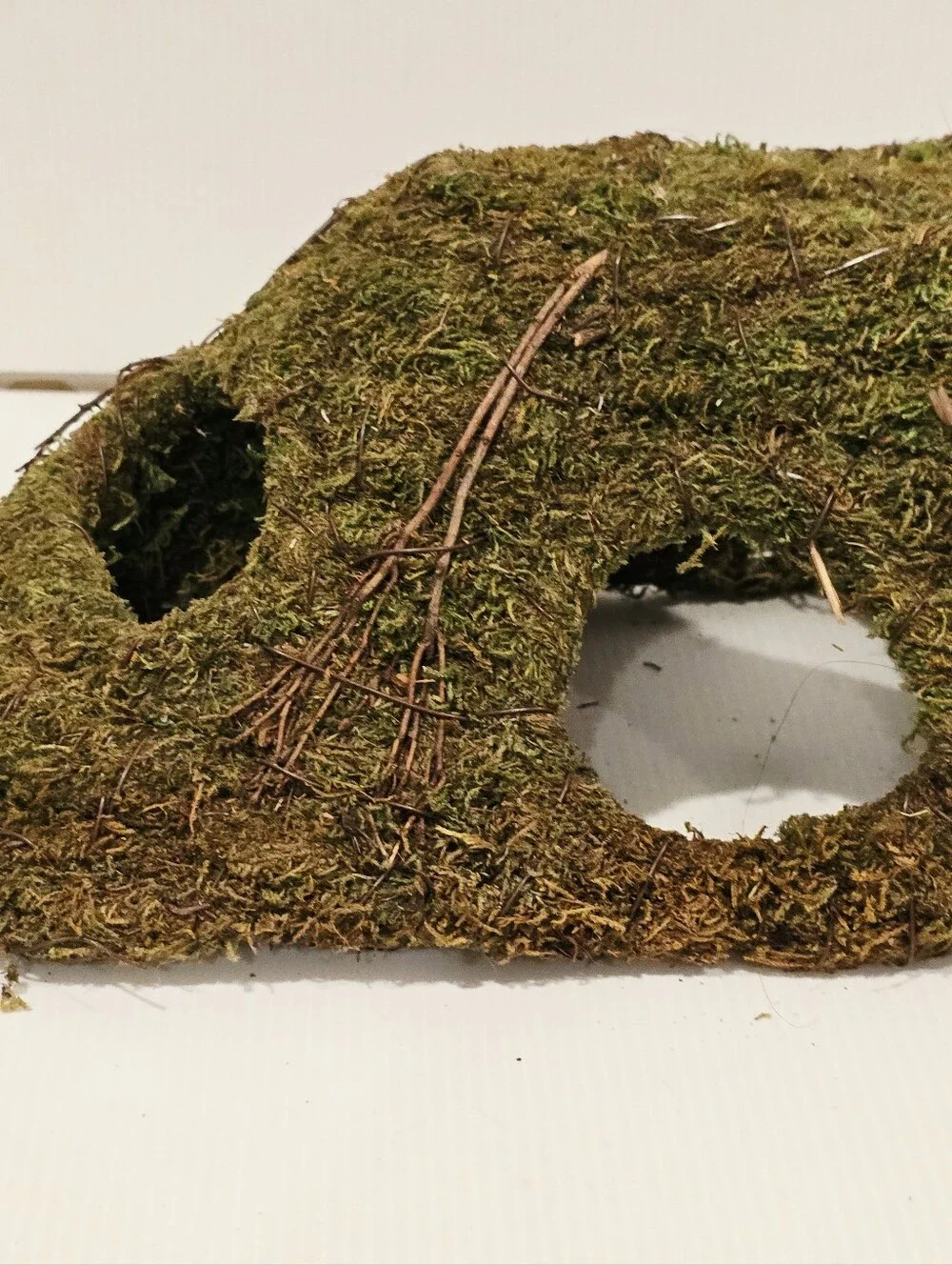 Galapagos Sapa Corner Hide Terrarium Hideaway